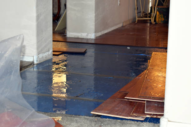Professional Burst Pipe Cleanup technician working in Dunbar, WI
